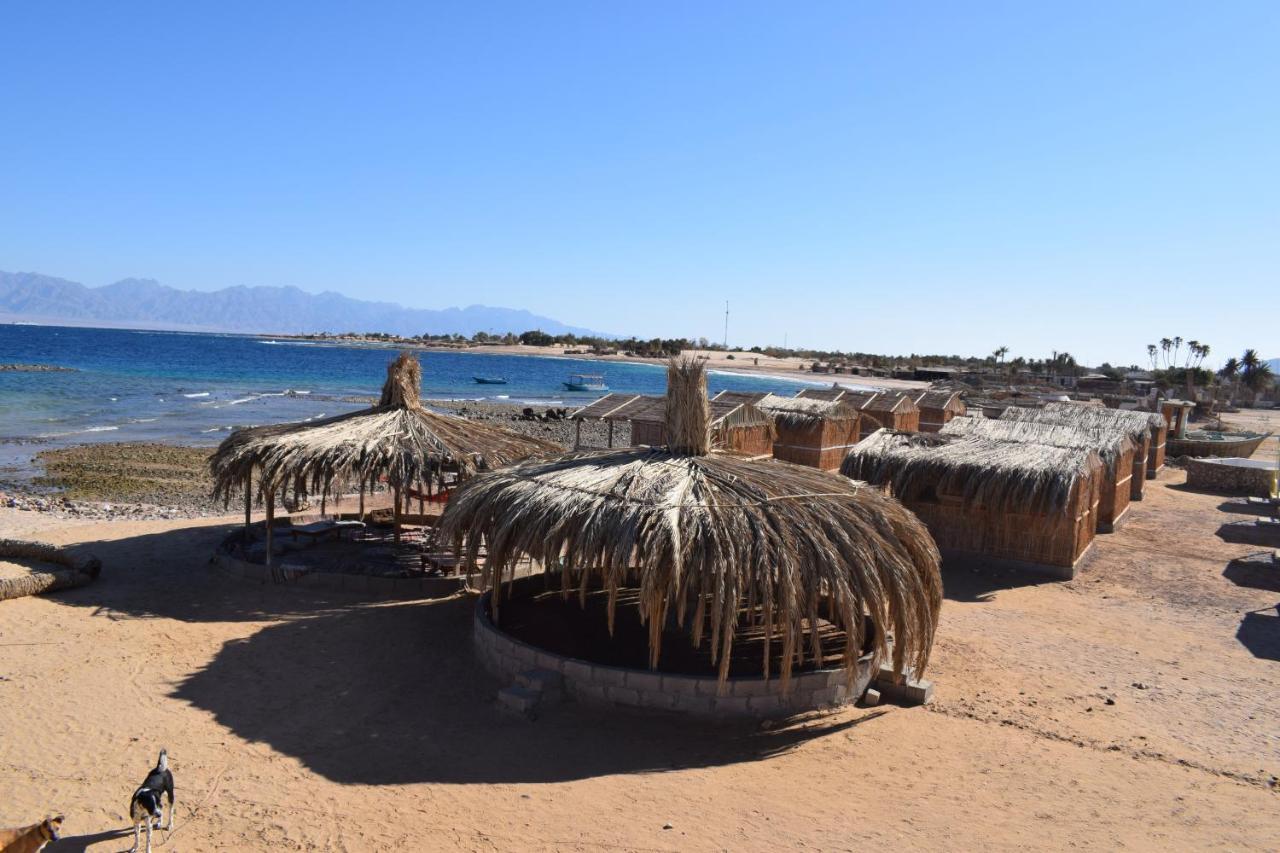 Sina Star Camp 호텔 Nuweiba` 외부 사진