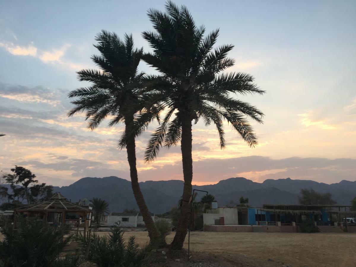 Sina Star Camp 호텔 Nuweiba` 외부 사진